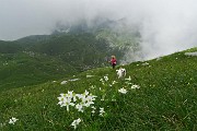 50 Salendo dalla Bocchetta al Monte Golla